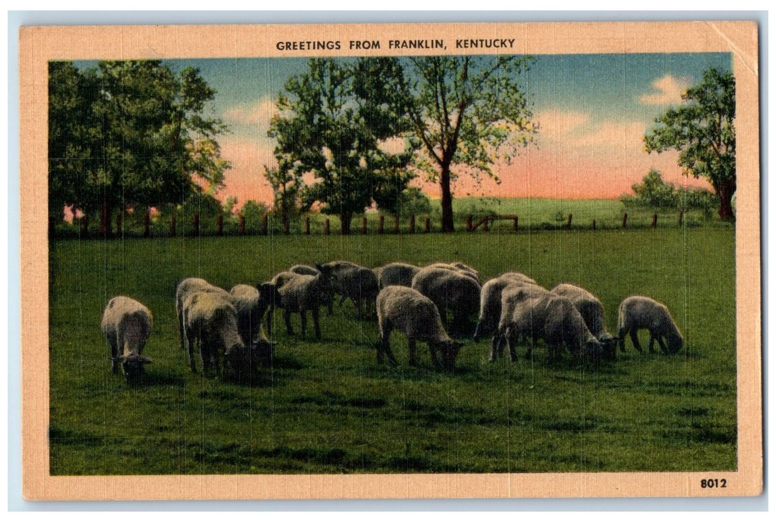 1948 Greetings From Franklin Sheeps Scene Kentucky KY Posted Vintage Postcard
