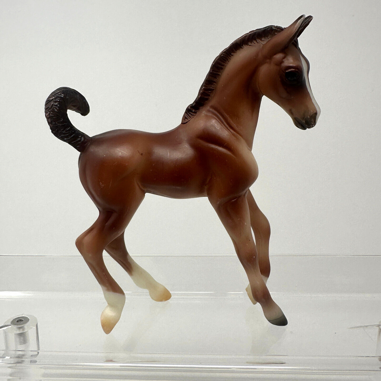 Breyer Classic Trotting Stock Horse Foal
