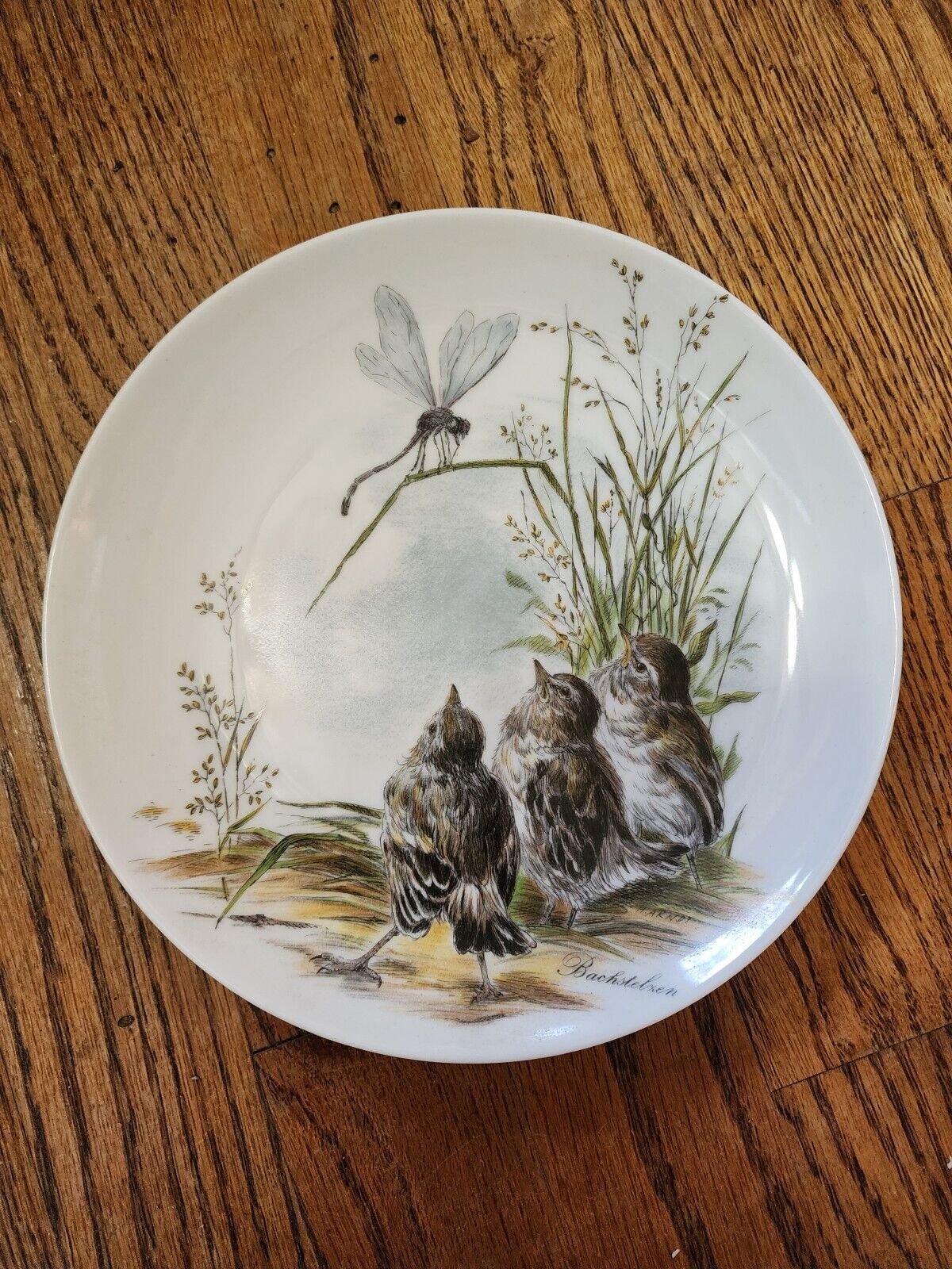 Vintage Kaiser Collectible Plate