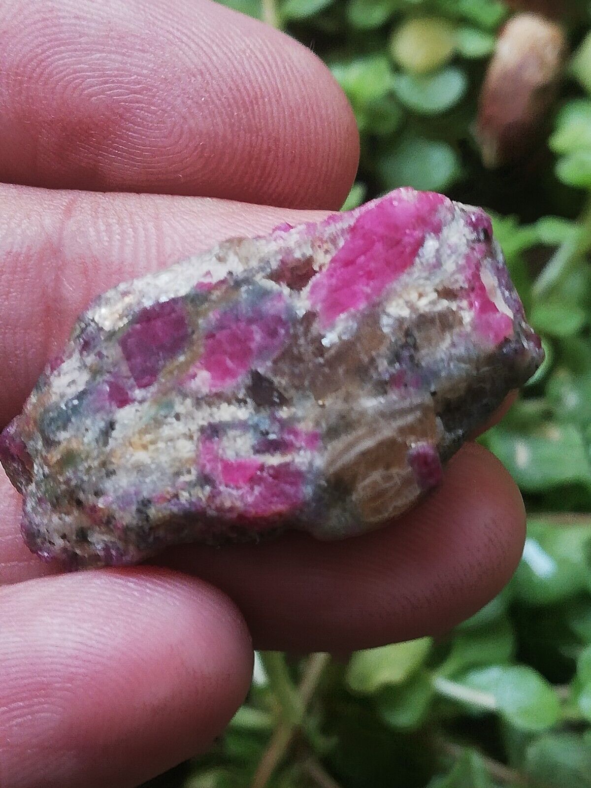 35 Ct Unheated Ruby Specimen On Mother Rock 32x17x6 MM From Kashmir Pakistan 