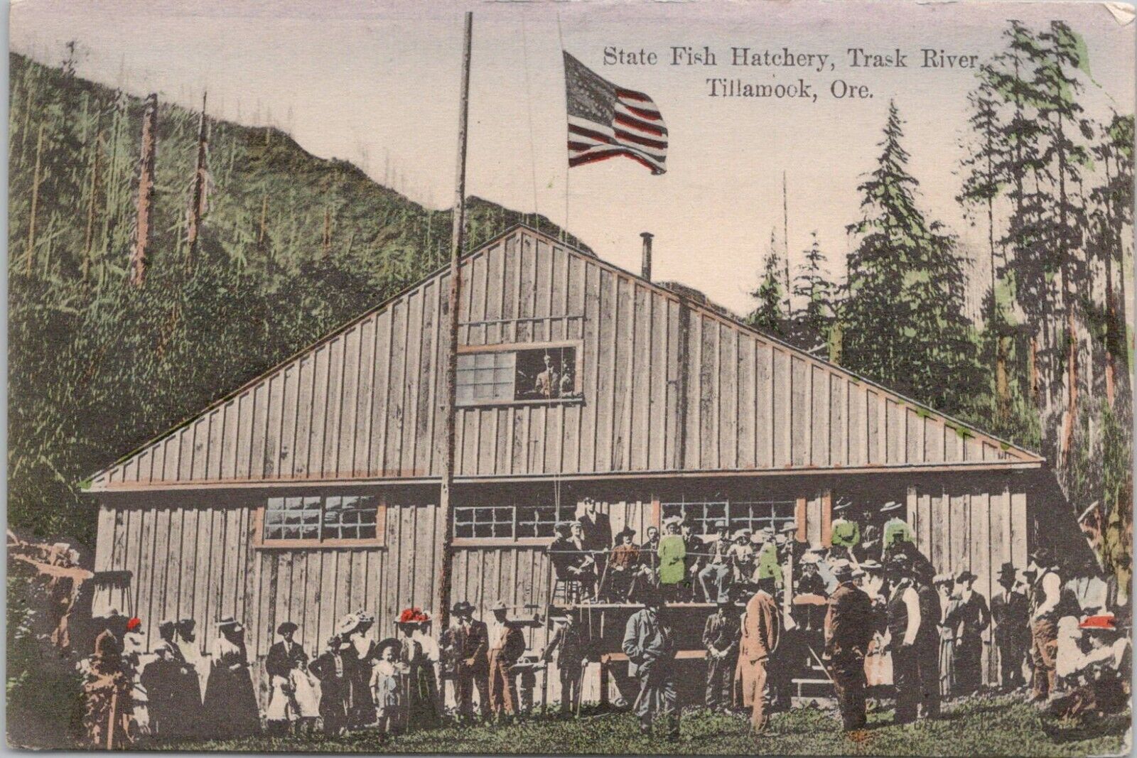 Lithograph Tillamook Oregon State Fish Hatchery on Trask River 1911