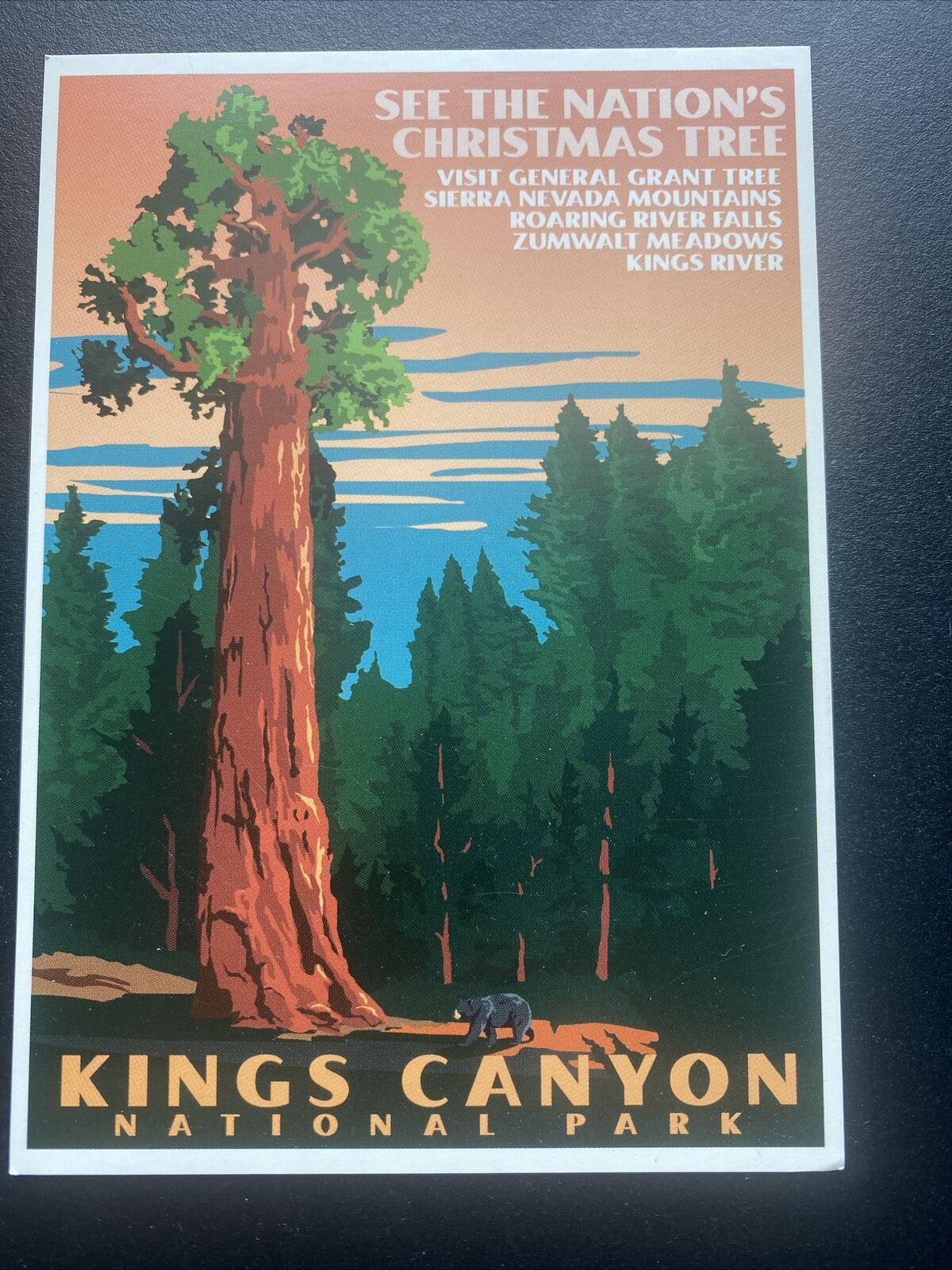 King’s Canyon National Park General Grant Tree Art Postcard New