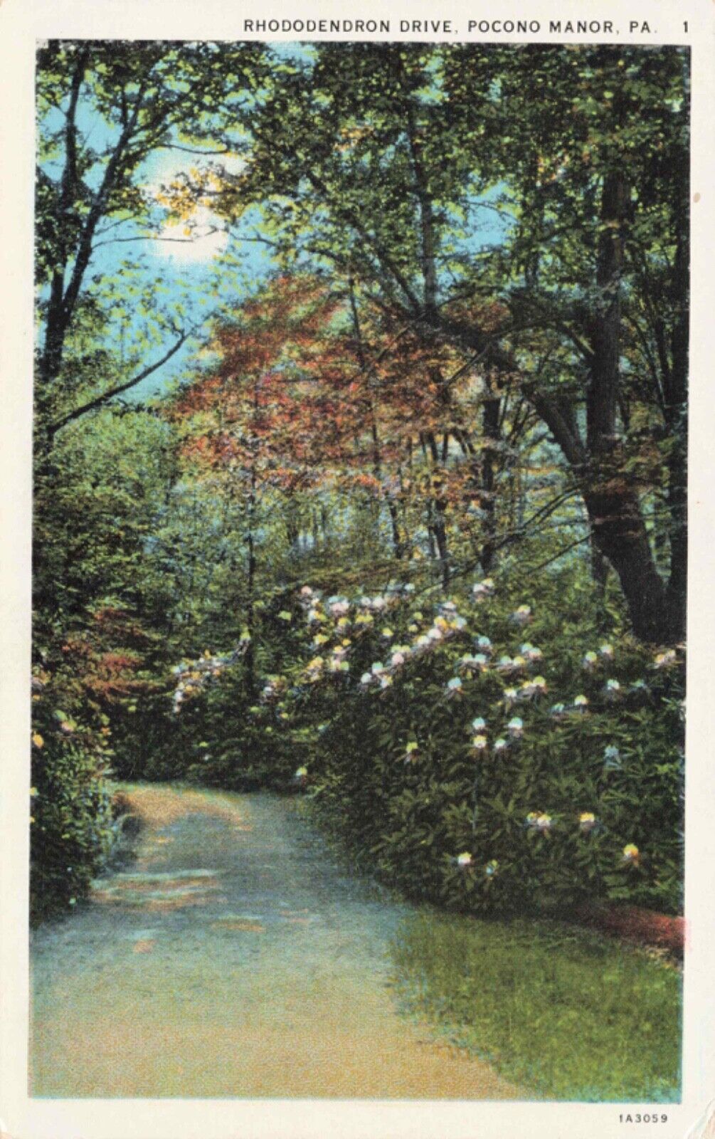 Rhododendron Drive, Pocono Manor, Pennsylvania Vintage PC