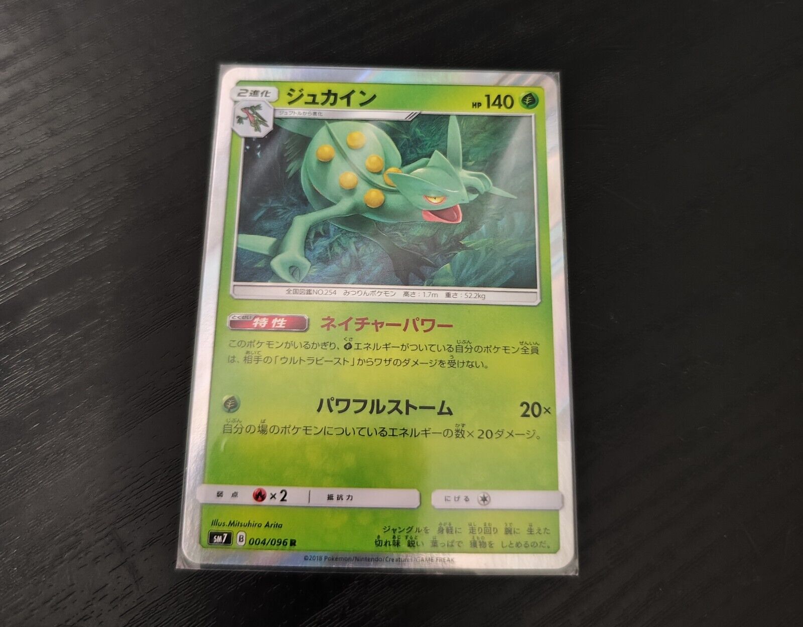 Sceptile 004/096 Japanese Pokemon TCG Card