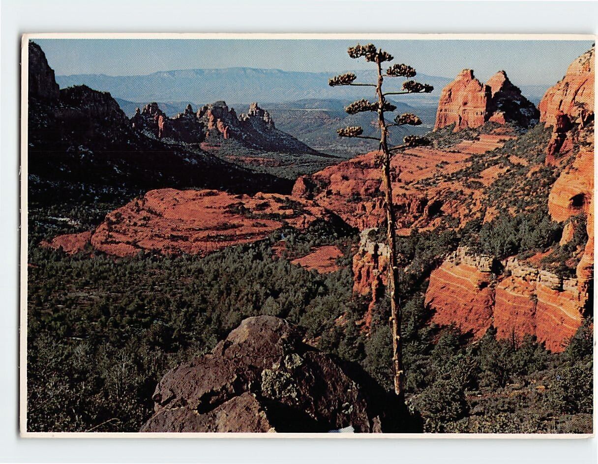 Postcard The view point atop Schnebly Hill Oak Creek Canyon Arizona USA