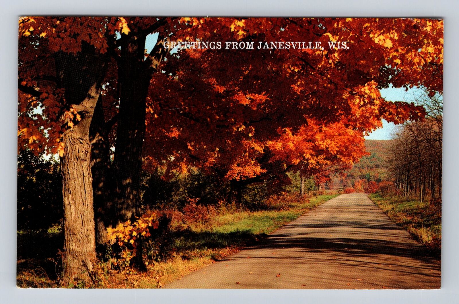 Janesville WI-Wisconsin, Autumn Maples, Scenic Greetings, Vintage c1975 Postcard