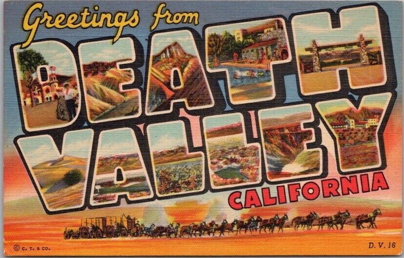 DEATH VALLEY, California Large Letter Postcard / 20-Mule Team / Curteich Linen