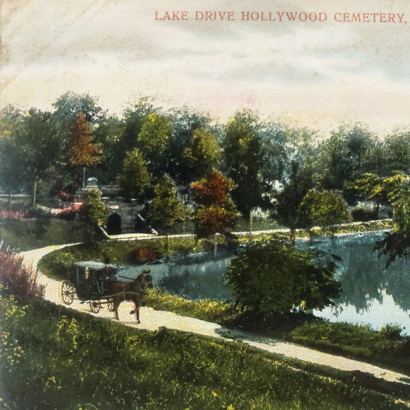 Houston Texas Hollywood Cemetery Postcard c1910 Horse Carriage Lake Drive B1469