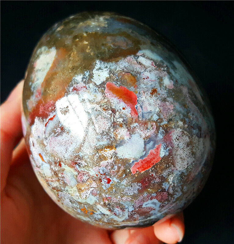 Rare 504G Natural Polished Orbicular Ocean Jasper Egg Reiki Healing Stone YWA44