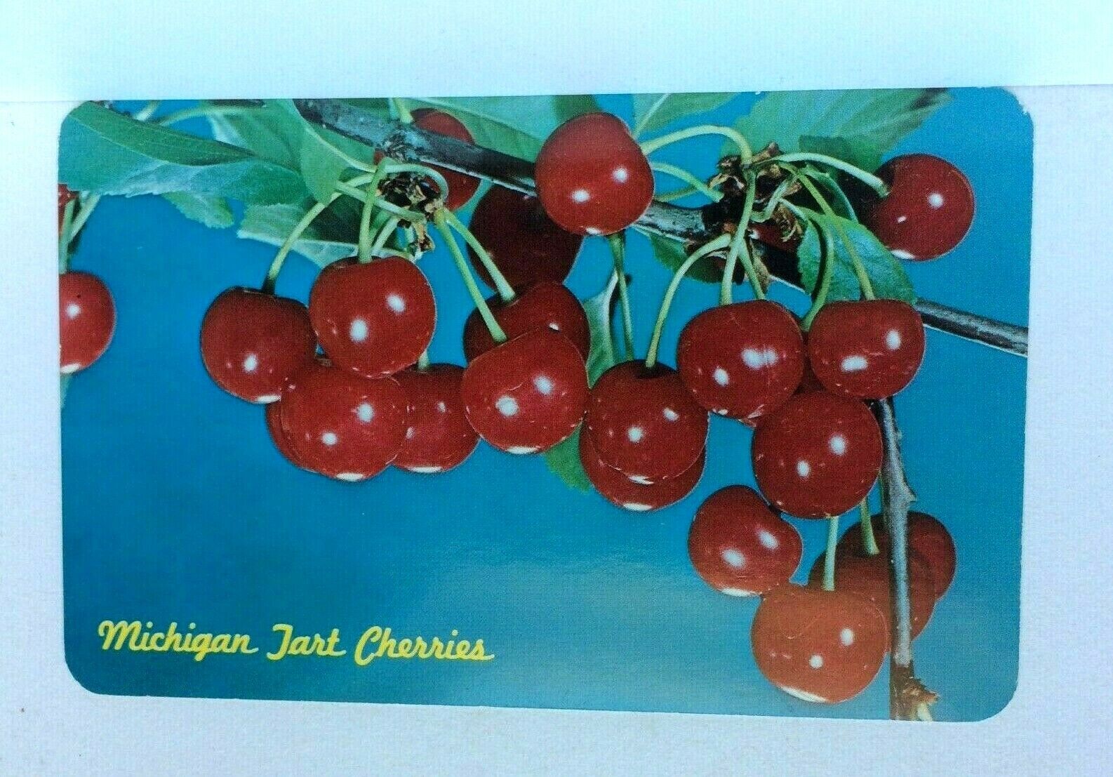 Michigan MI Tart Cherries Postcard