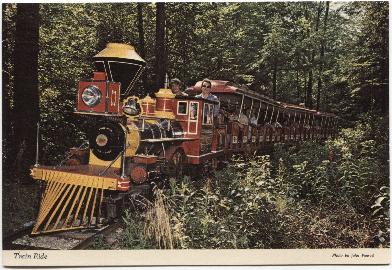 Postcard Chrome Amusement Park Deer Park Funland, Muskegon, MI, Train Ride
