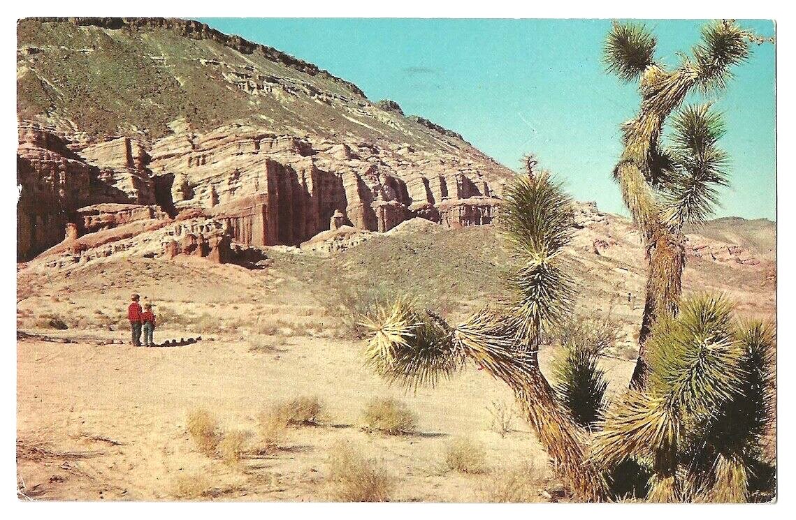 Mojave Desert California c1960\'s Joshua Trees, Red Rock Canyon