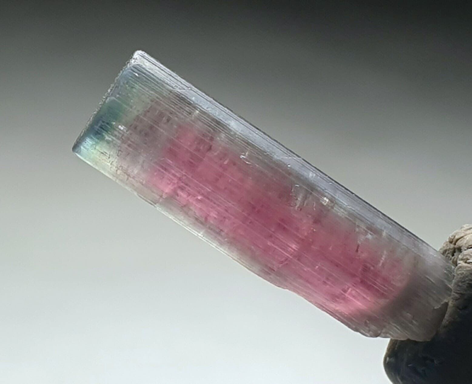 An Outstanding Watermelon Terminated Tourmaline Crystal From Afghanistan