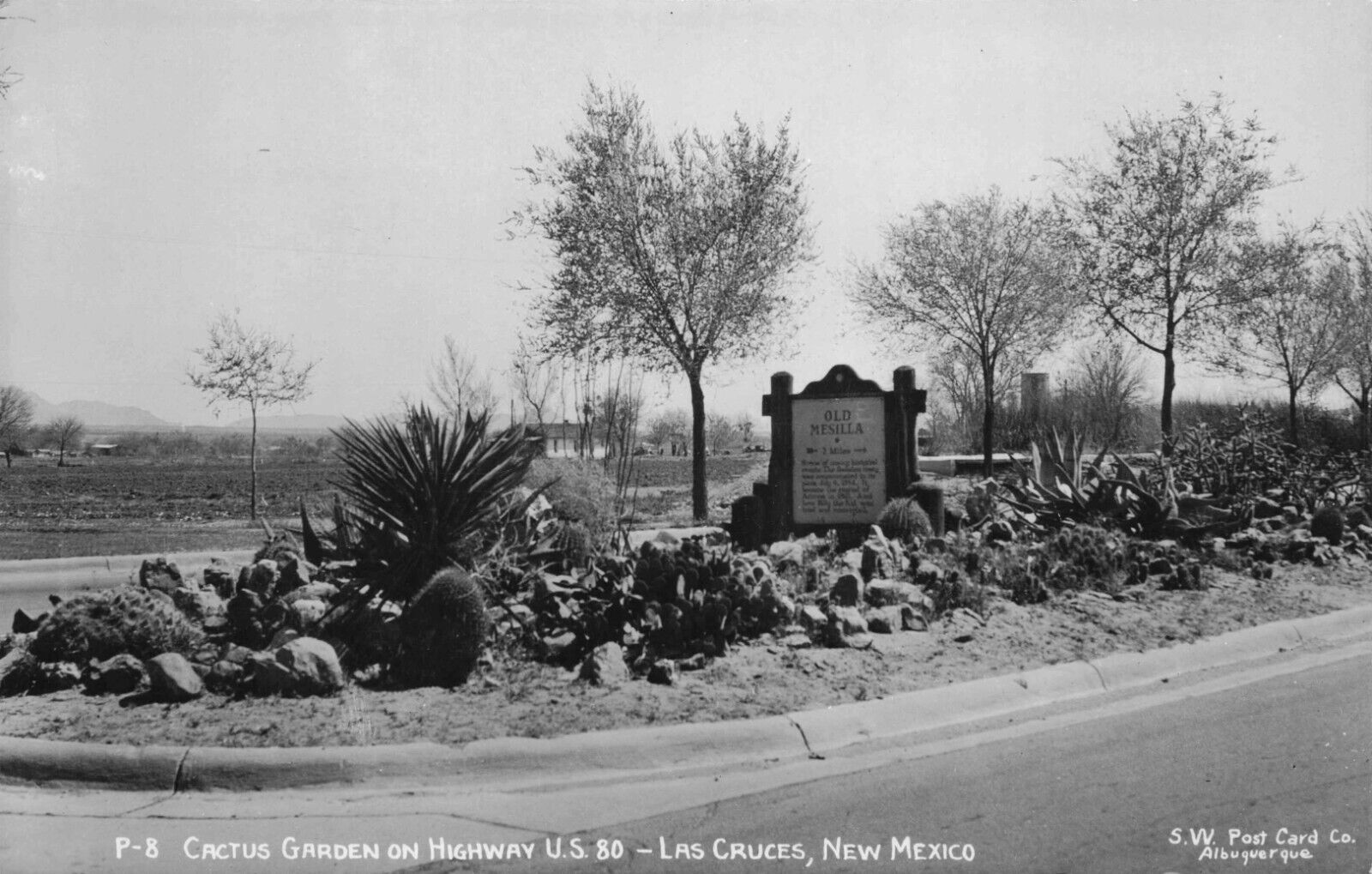 RPPC Las Cruces New Mexico Cactus Garden Old Mesilla Sign Real Photo Postcard