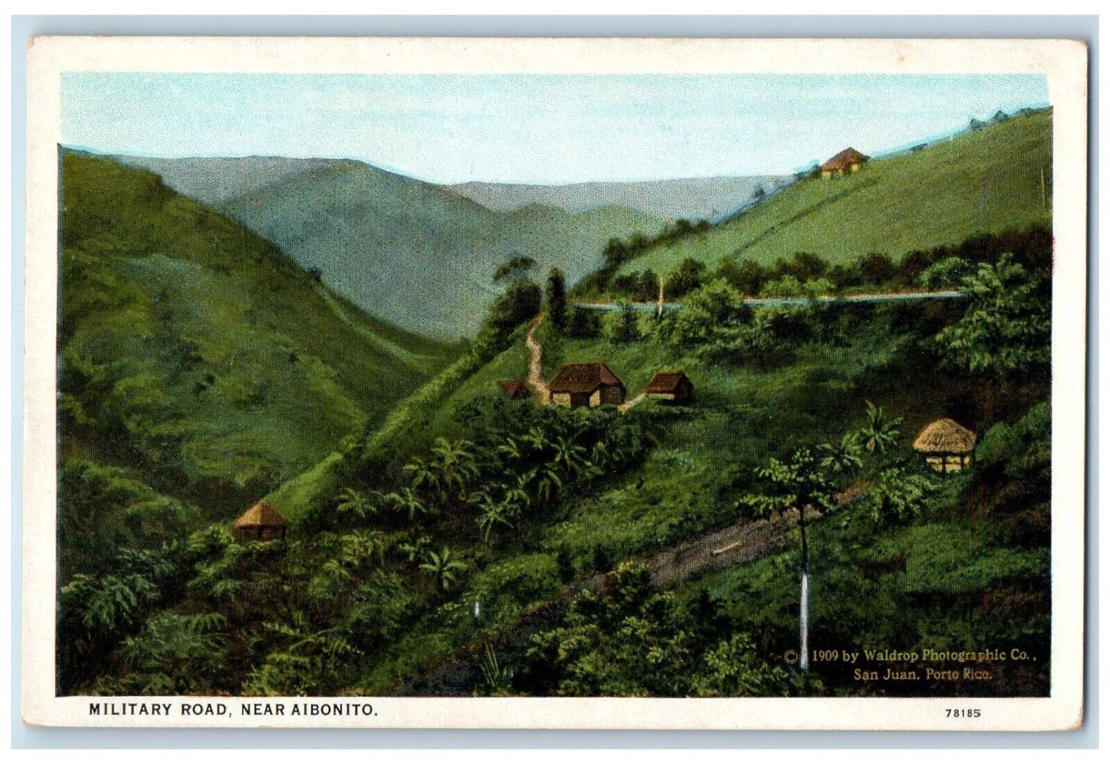 c1930\'s View Of Military Road Near Aibonito San Juan Puerto Rico PR Postcard