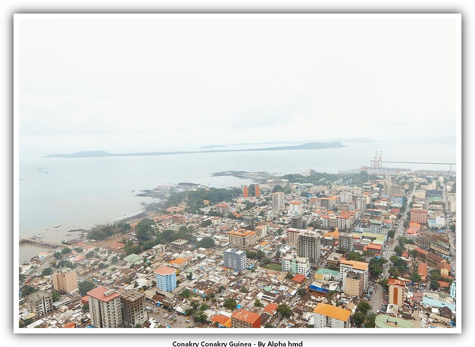 Conakry Conakry Guinea  Postcard