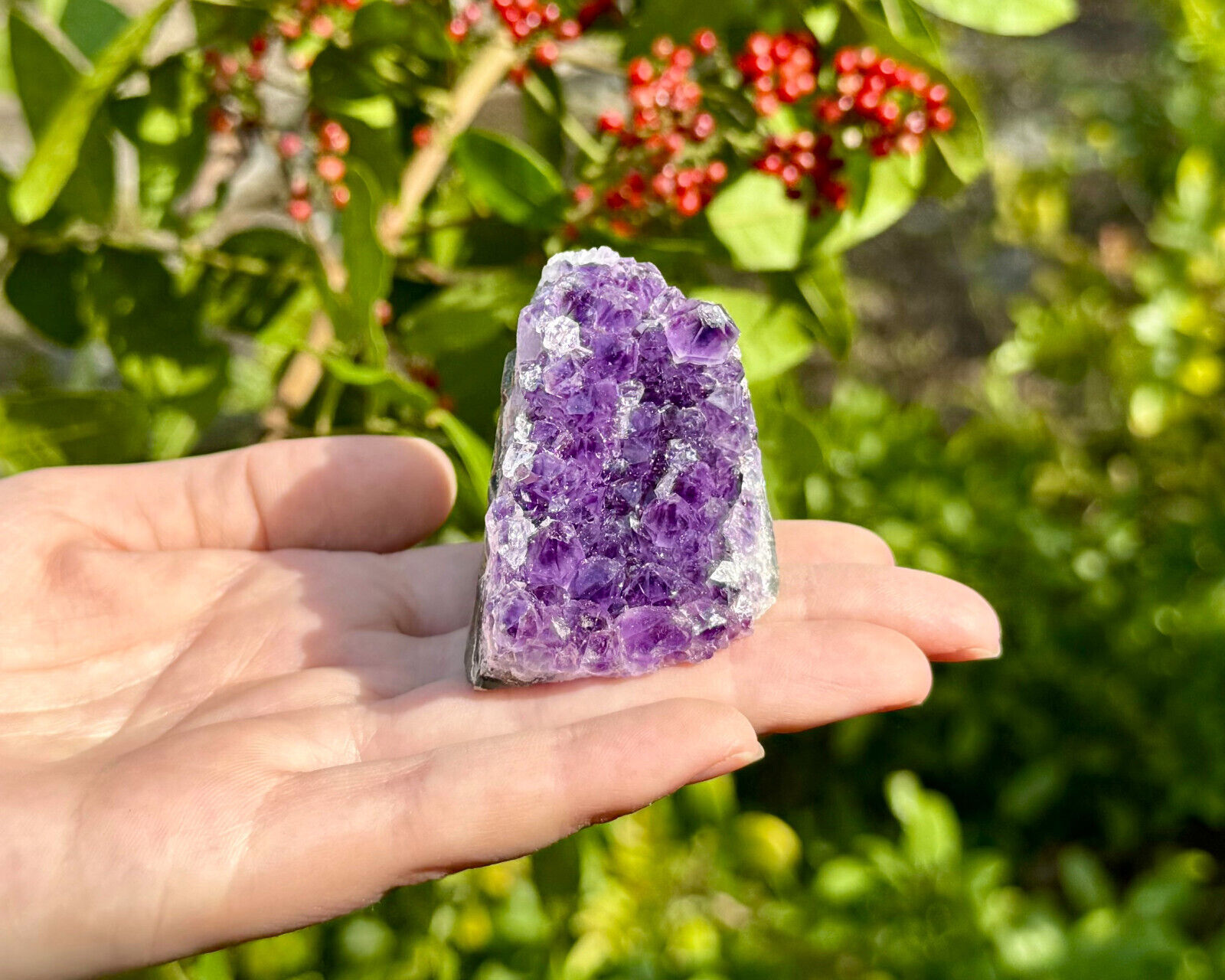Amethyst Druze Crystal Cluster Cut Base Natural Goede Specimen: You Choose Size