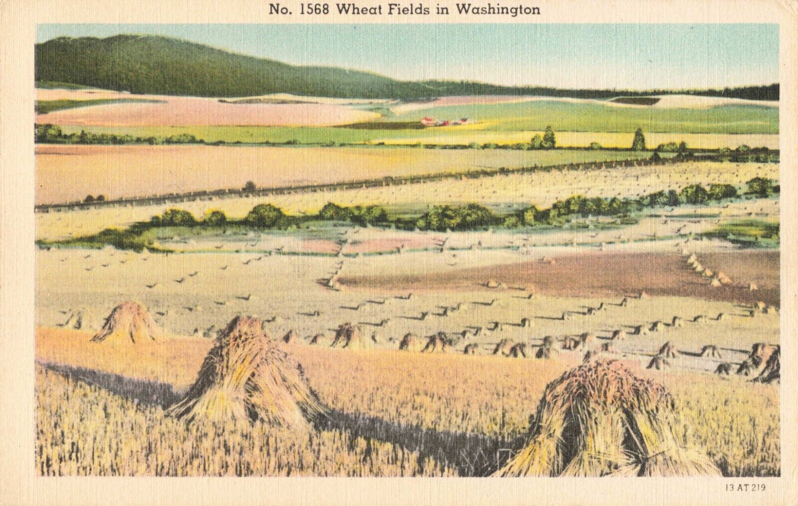 Seattle WA Washington, Wheat Fields in Washington, Vintage Postcard