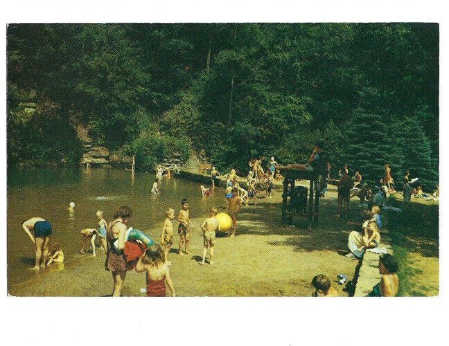 c.1950s Swimming Cook Forest State Park Highway 36 Pennsylvania PA Postcard UNP