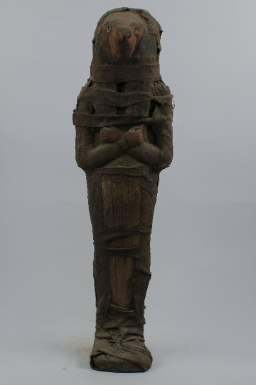 Horus Ushabti The Falcon (GOD of Sky) as mummified