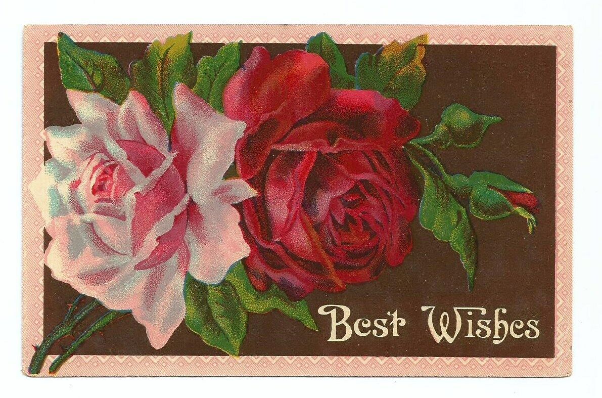  Best Wishes Greeting Postcard Roses Flowers 