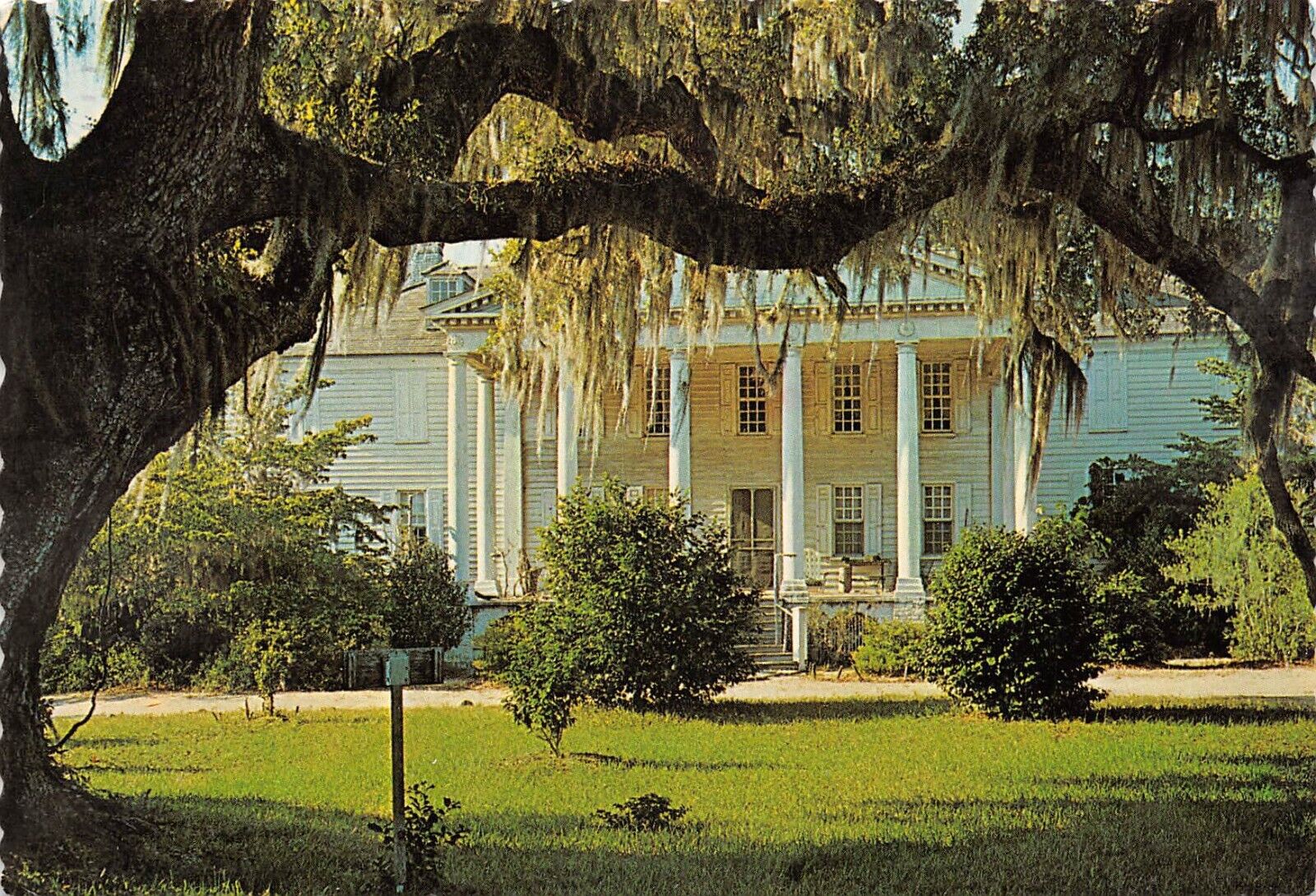 Hampton Plantation Coastal SC South Carolina 1984 Postcard 4500