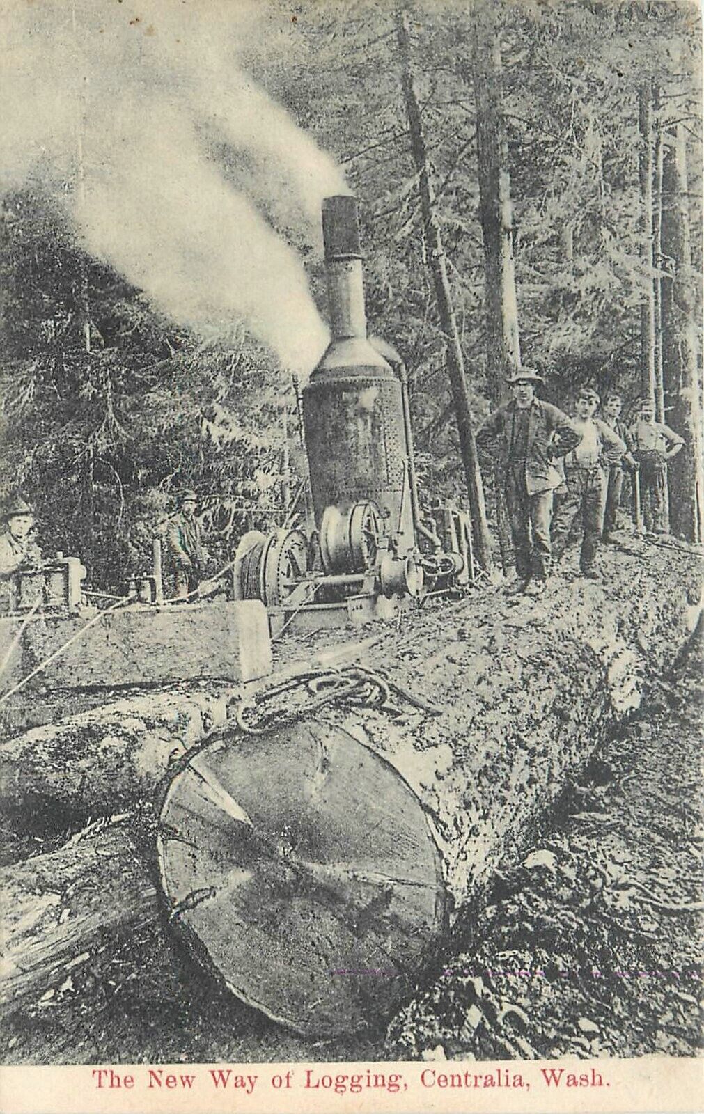 Postcard C-1910 Logging lumber Washington Centralia workers WA24-4311