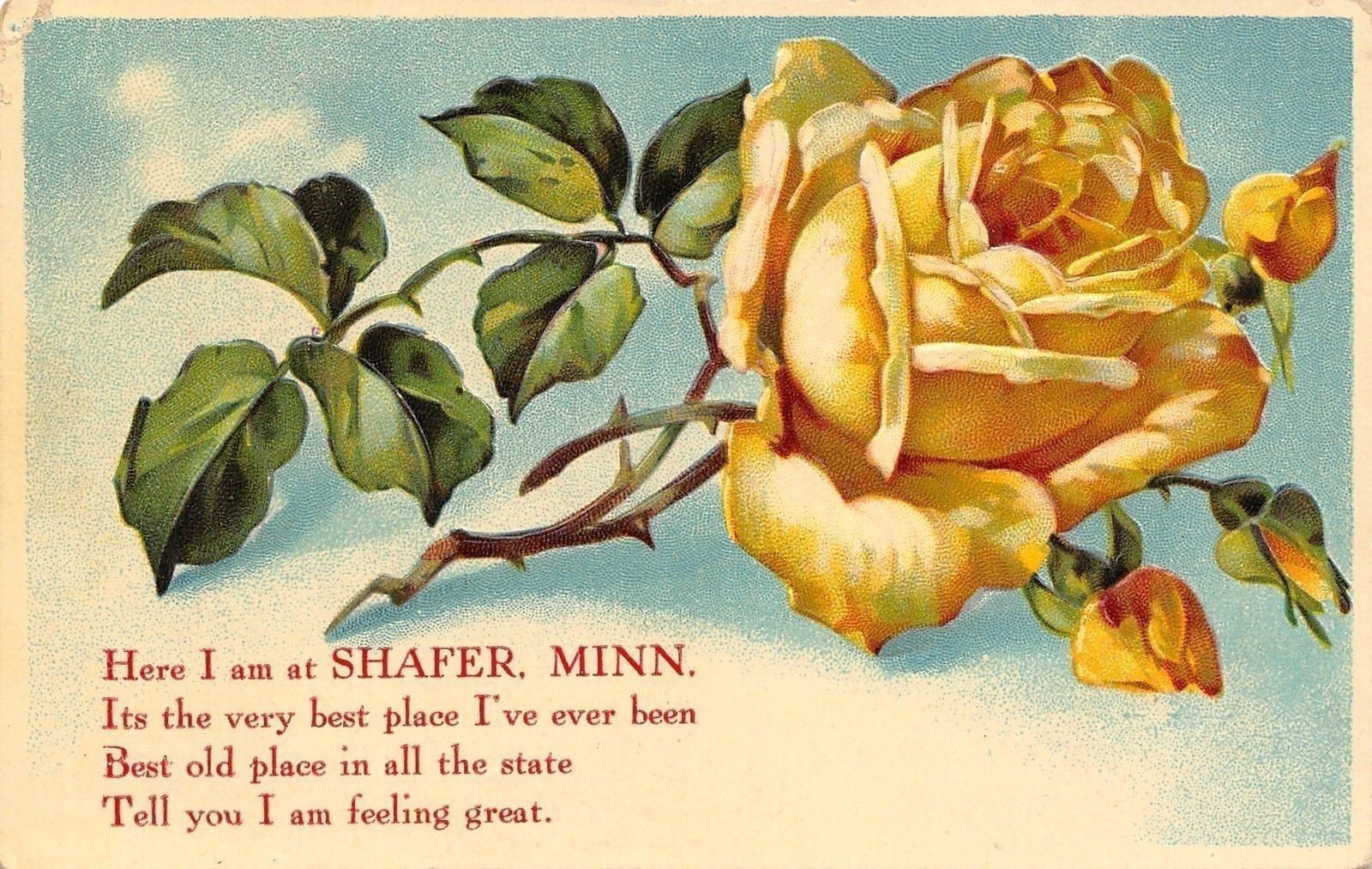 Shafer Minnesota~Poem Greeting~Long Stem Yellow Rose~Emboss~1909 Postcard