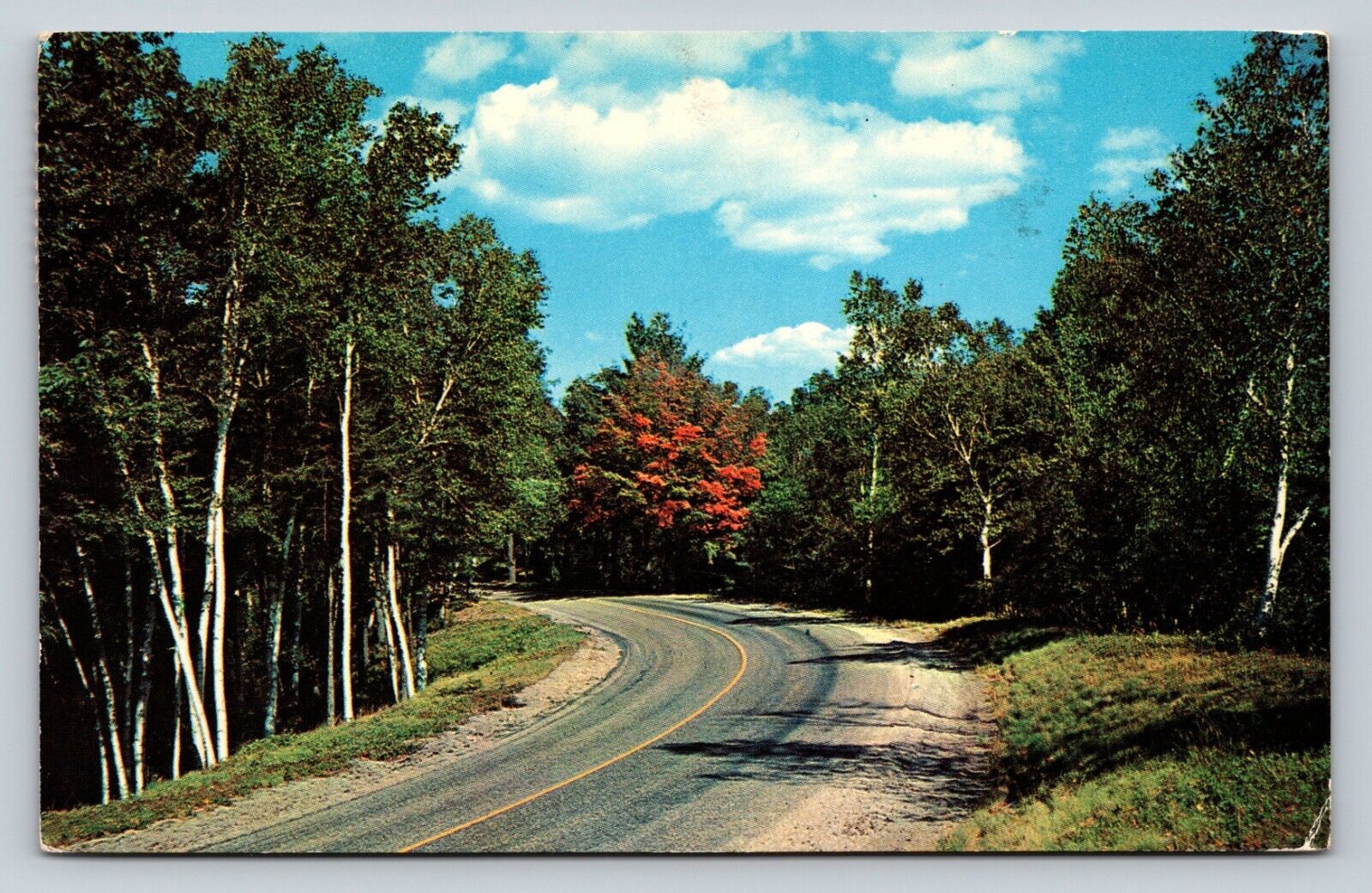 Beautiful Scenic Country Road View 2c stamp Vintage Postcard 0768