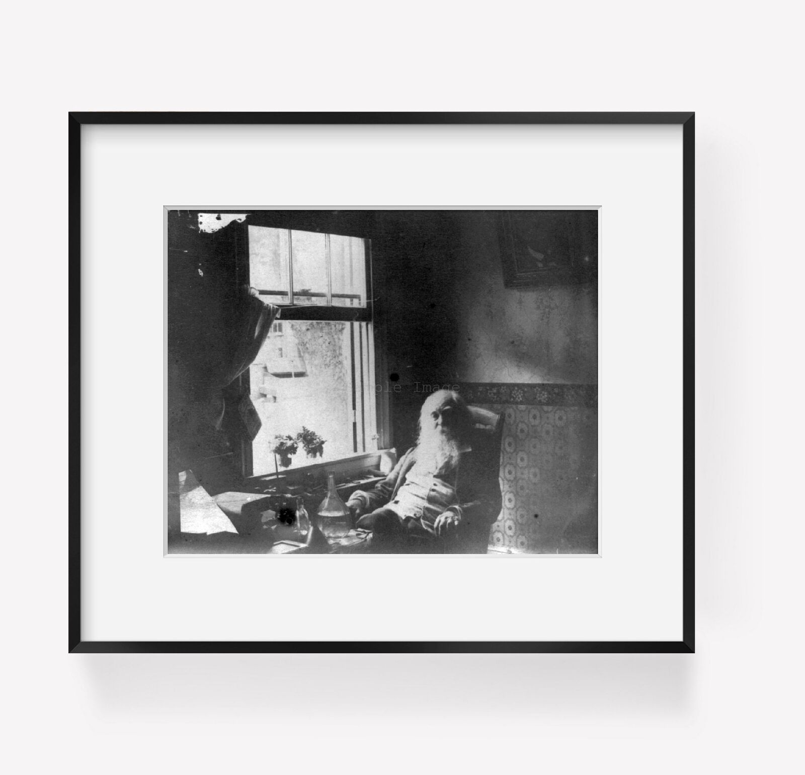 Vintage c1896 photograph of Walt Whitman, 1819-1892 Summary: 3/4 lgth., seated b
