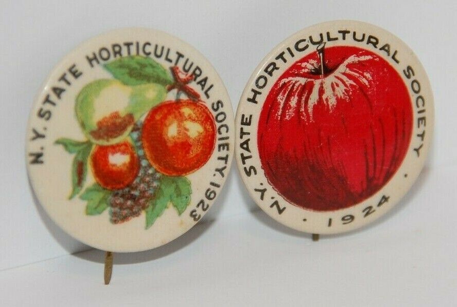 Lot of 2 Antique 1923 1924 New York NY Horticultural Society Pinback Buttons