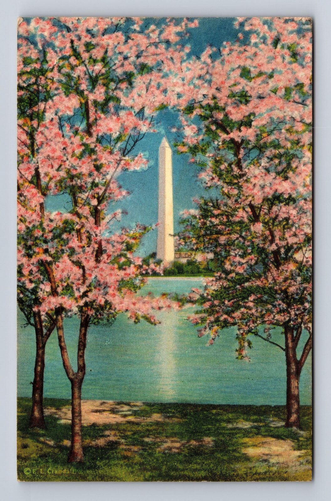 Washington DC, Washington Monument, Cherry Blossoms, Vintage c1929 Postcard