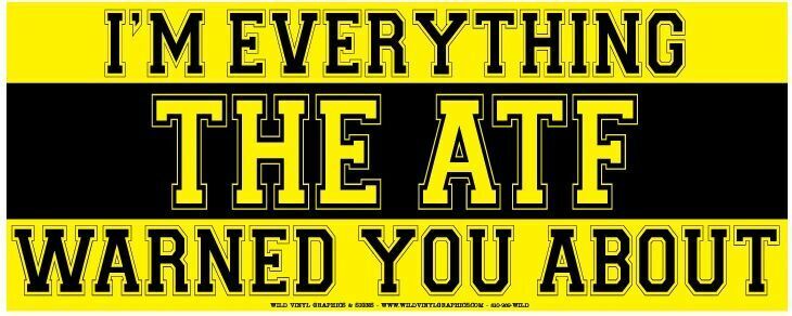 I'M EVERYTHING THE ATF WARNED YOU ABOUT WVBP-00140 10 X 4 COLOR STICKER