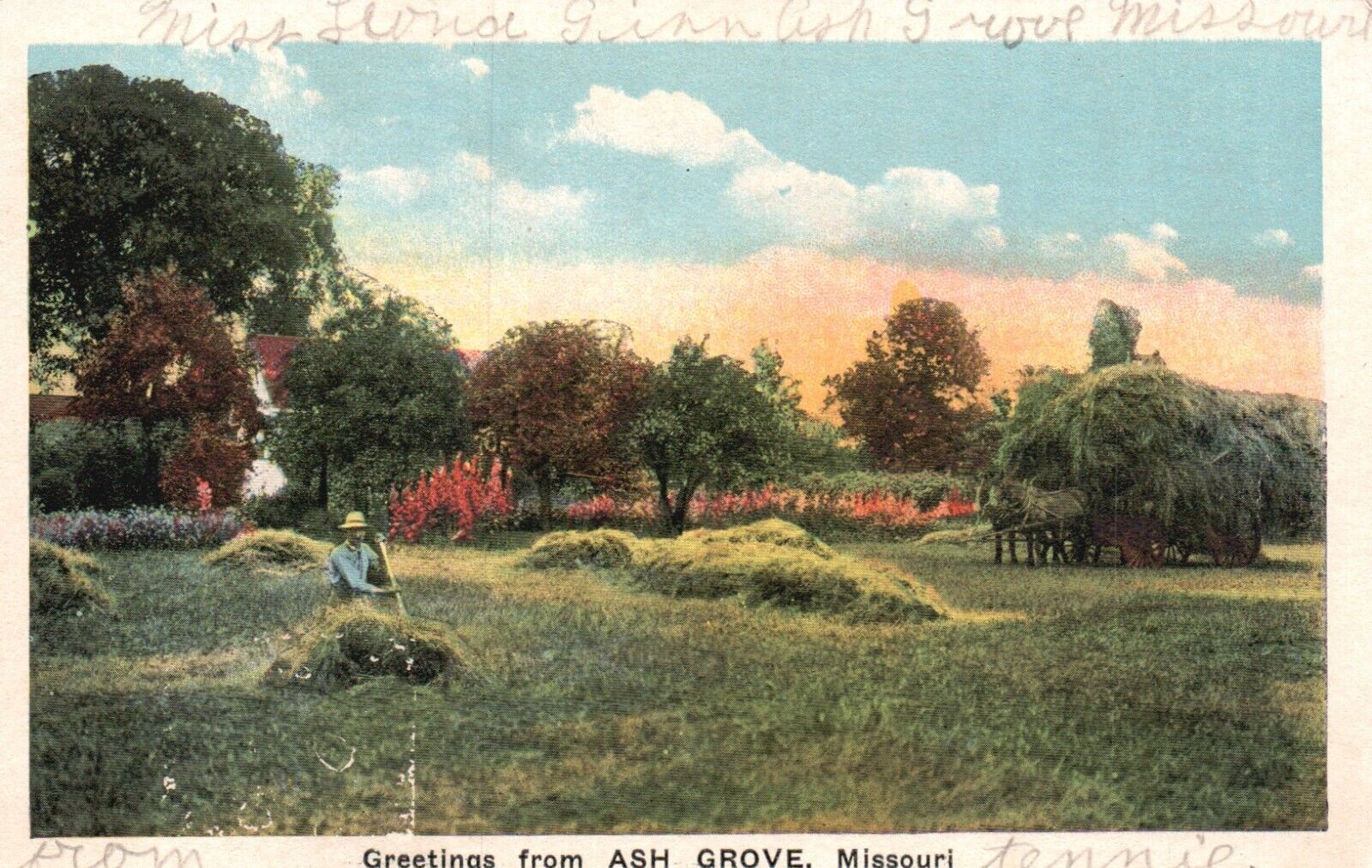 Postcard MO Greetings Ash Grove Missouri Hay Field Unposted Vintage PC H2092