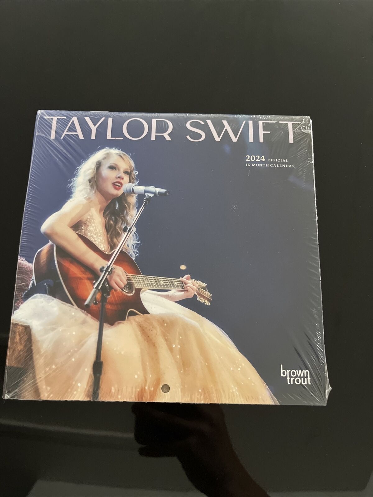 BrownTrout,  Taylor Swift 2024 Mini Wall Calendar