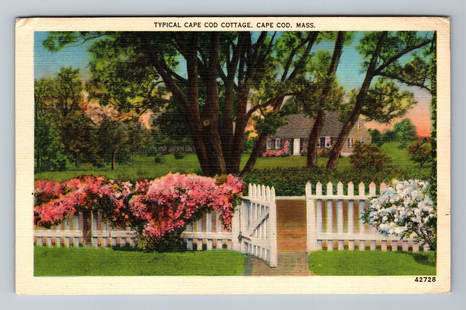 Cape Cod MA-Massachusetts, Typical Cape Cod Cottage, Vintage c1941 Postcard