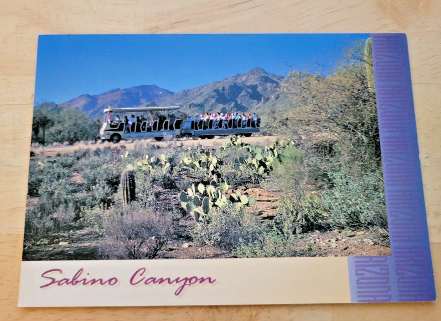Postcard Sabino Canyon Santa Catalina Mountains Arizona
