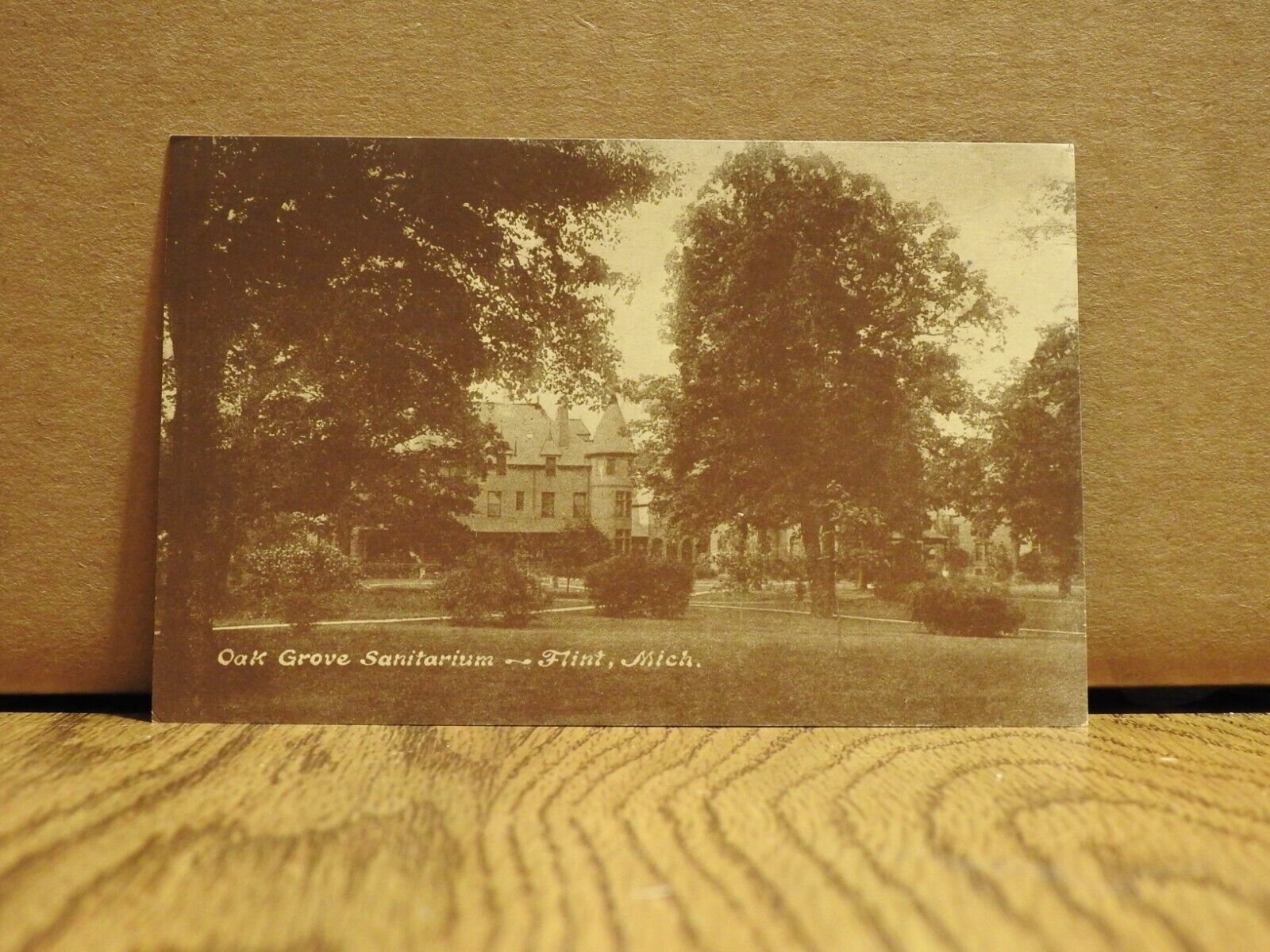 Oak Grove Sanitarium Flint, Michigan Vintage Lithograph Post Card 