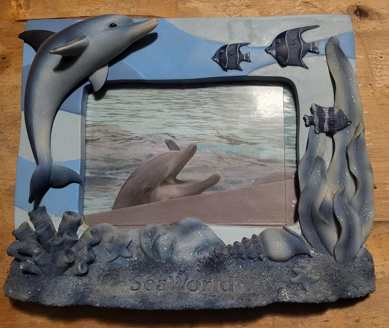 Rare SeaWorld 3 Dimensional Photo Frame