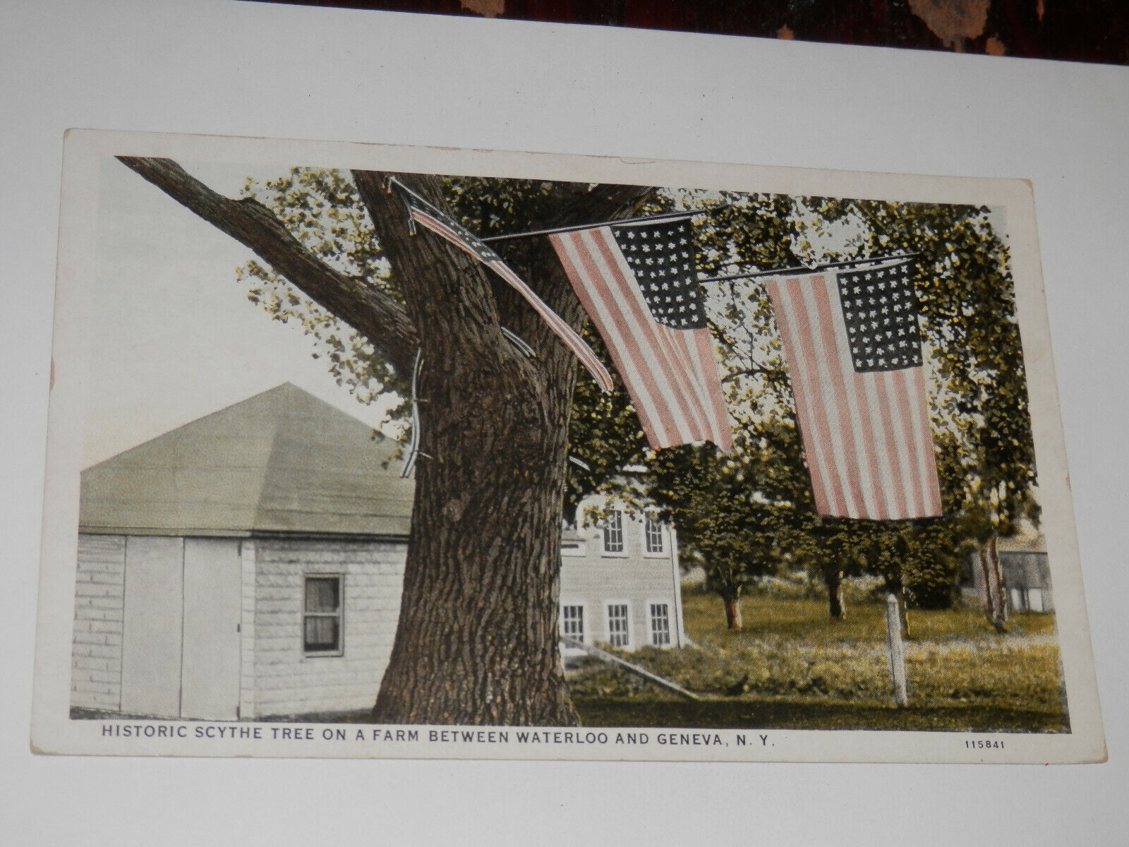 GENEVA NY - 1915-1930 ERA POSTCARD - SCYTHE TREE ON FARM - WATERLOO