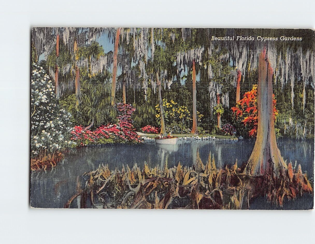 Postcard Beautiful Florida Cypress Gardens USA