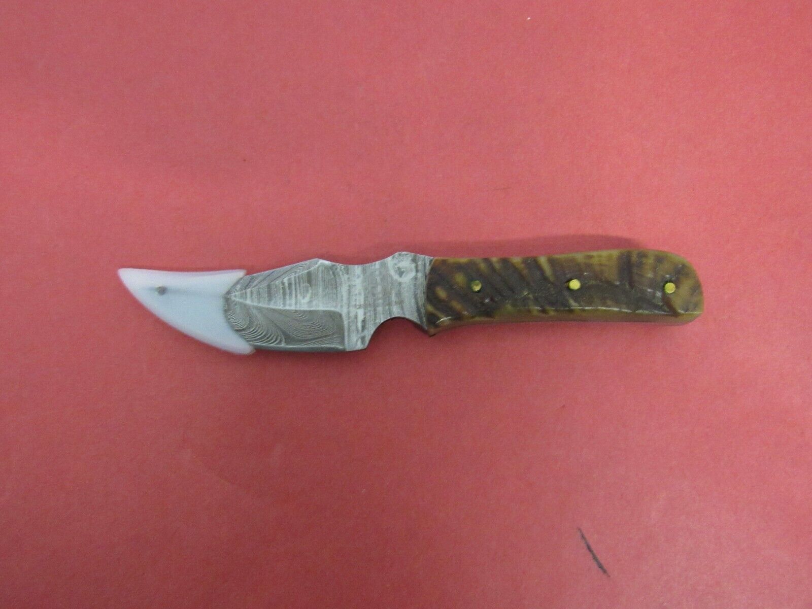 Circle SH Cutlery Fixed Blade Knife CSH-RH 3 1/4\