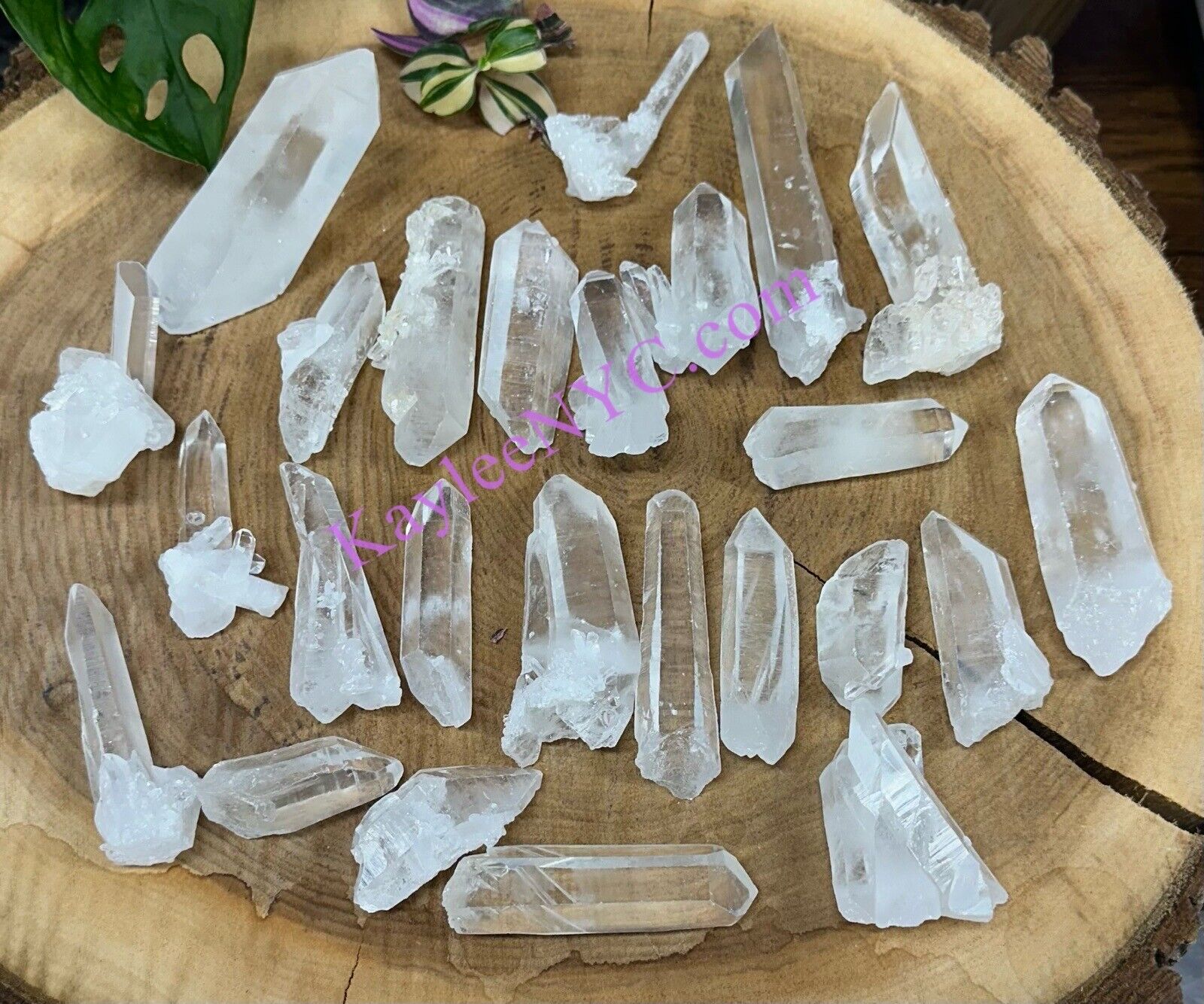 Wholesale Lot 2 Lbs Natural Lemurian Quartz Wand Raw Crystal Nice Quality