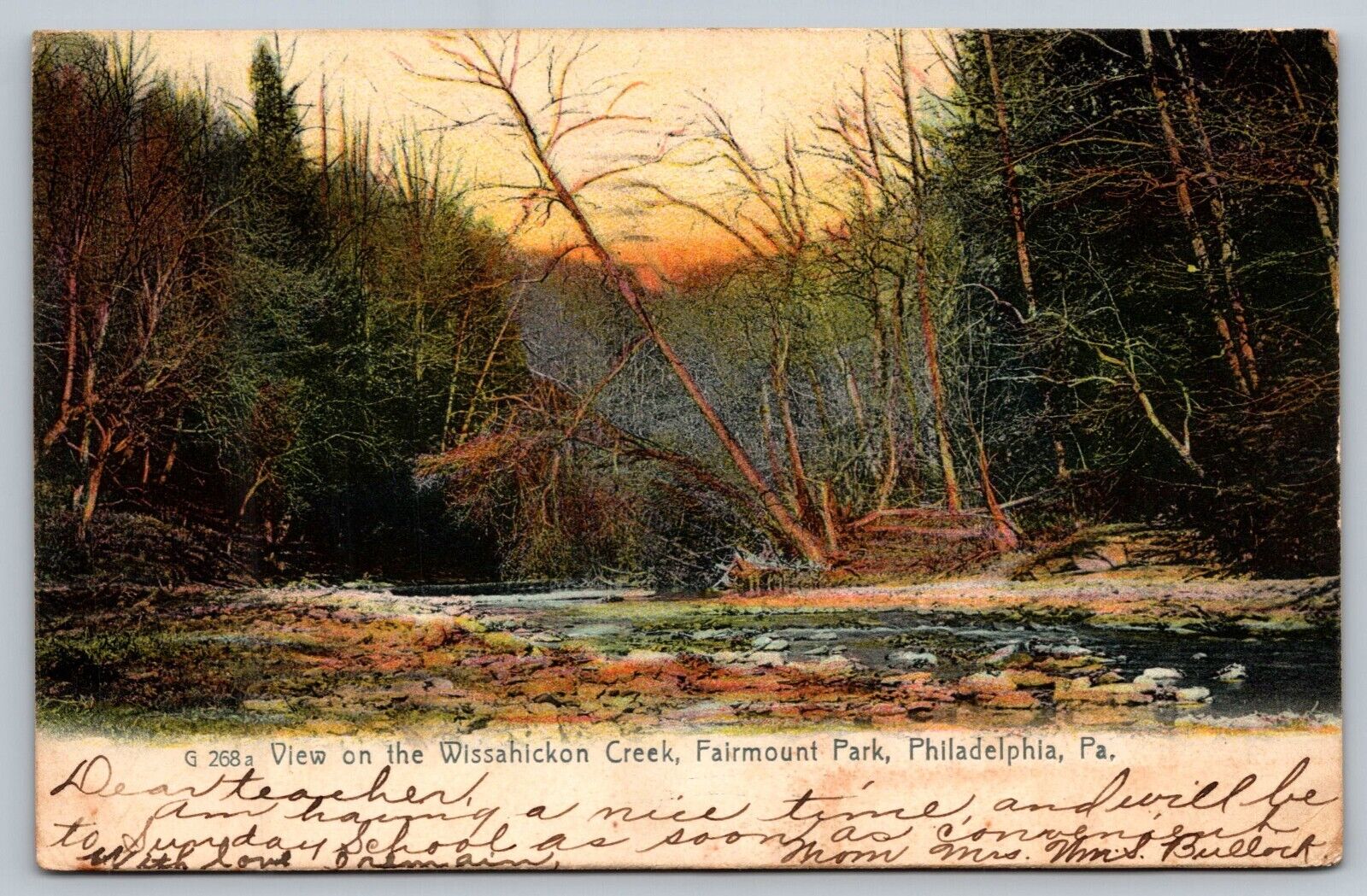 Philadelphia View on the Wissahickon Creek Fairmount Park PA Postcard