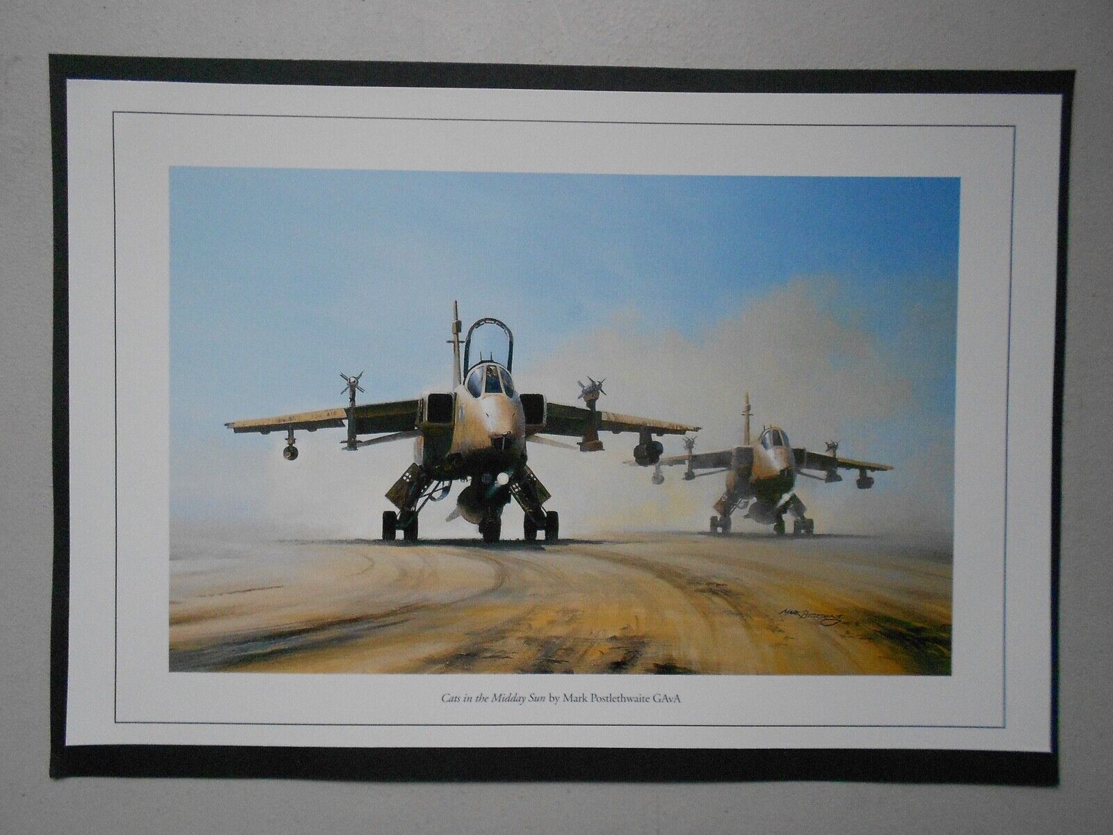 MILITARY AVIATION PRINT-  CATS IN THE MIDDAY SUN BY MARK POSTLETHWAITE