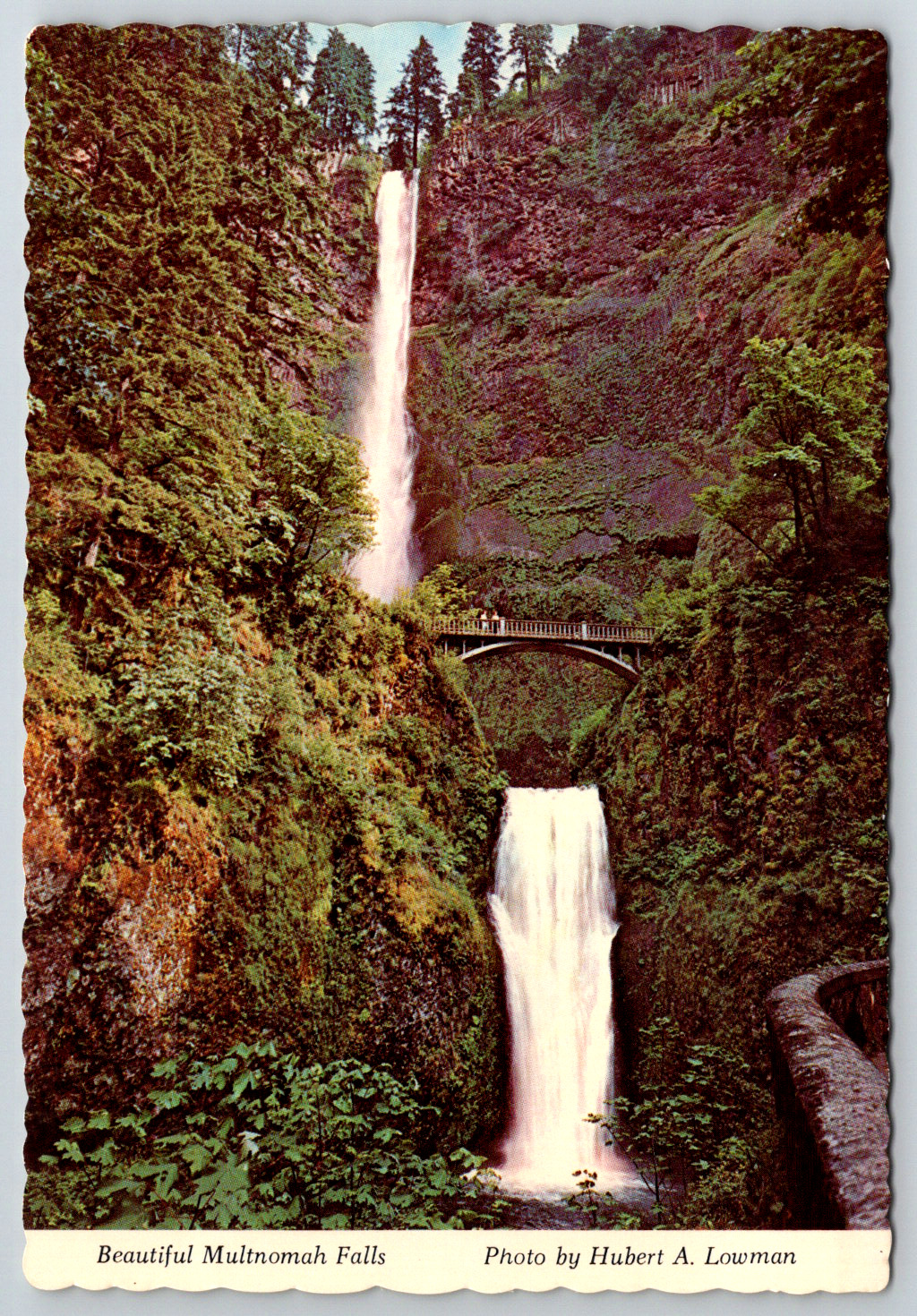 c1980s Multnomah Falls Columbia River Gorge Oregon Vintage Postcard