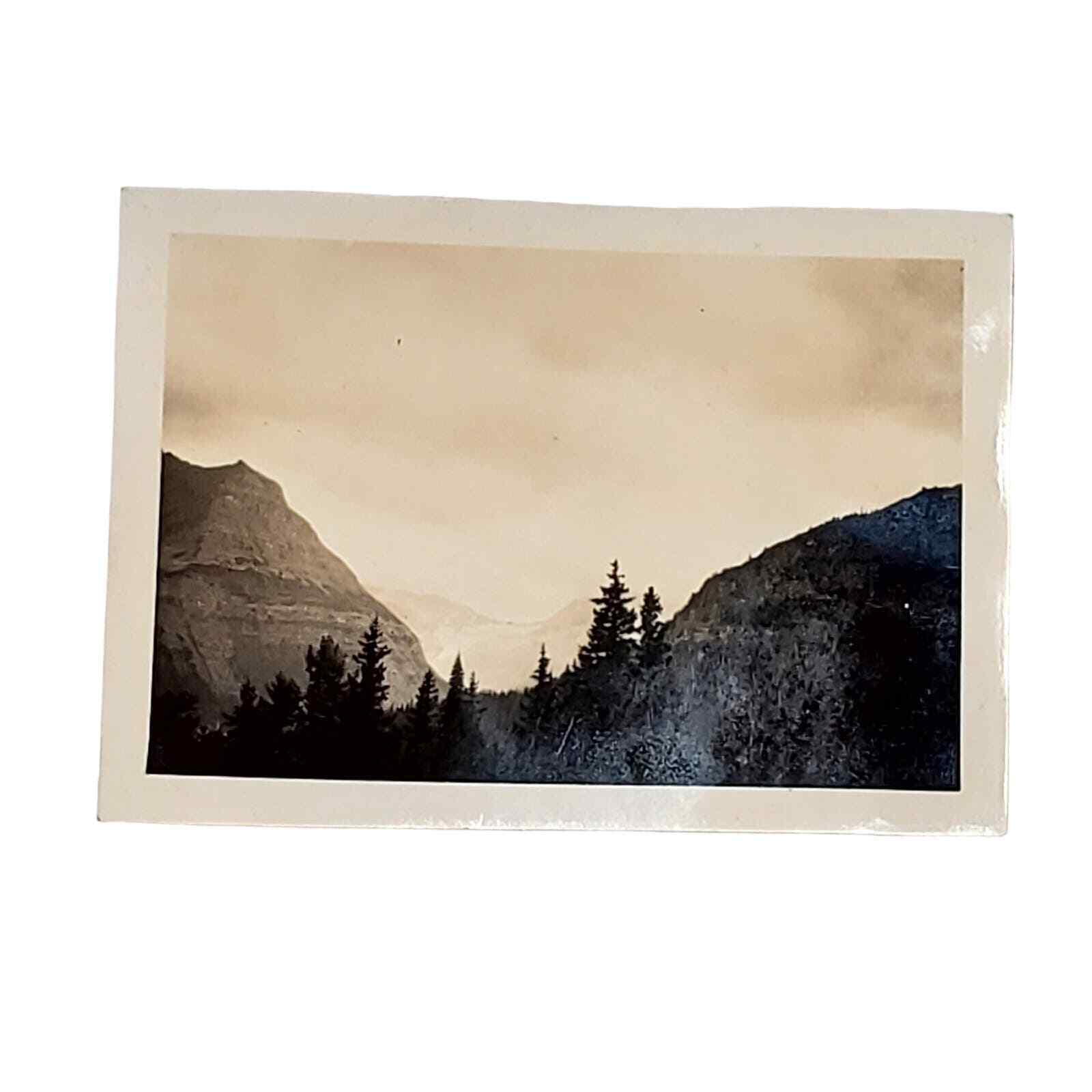 Vtg B&W Photo Found 1940s Yellowstone Nat Park Trees Mountain Top View Snapshot