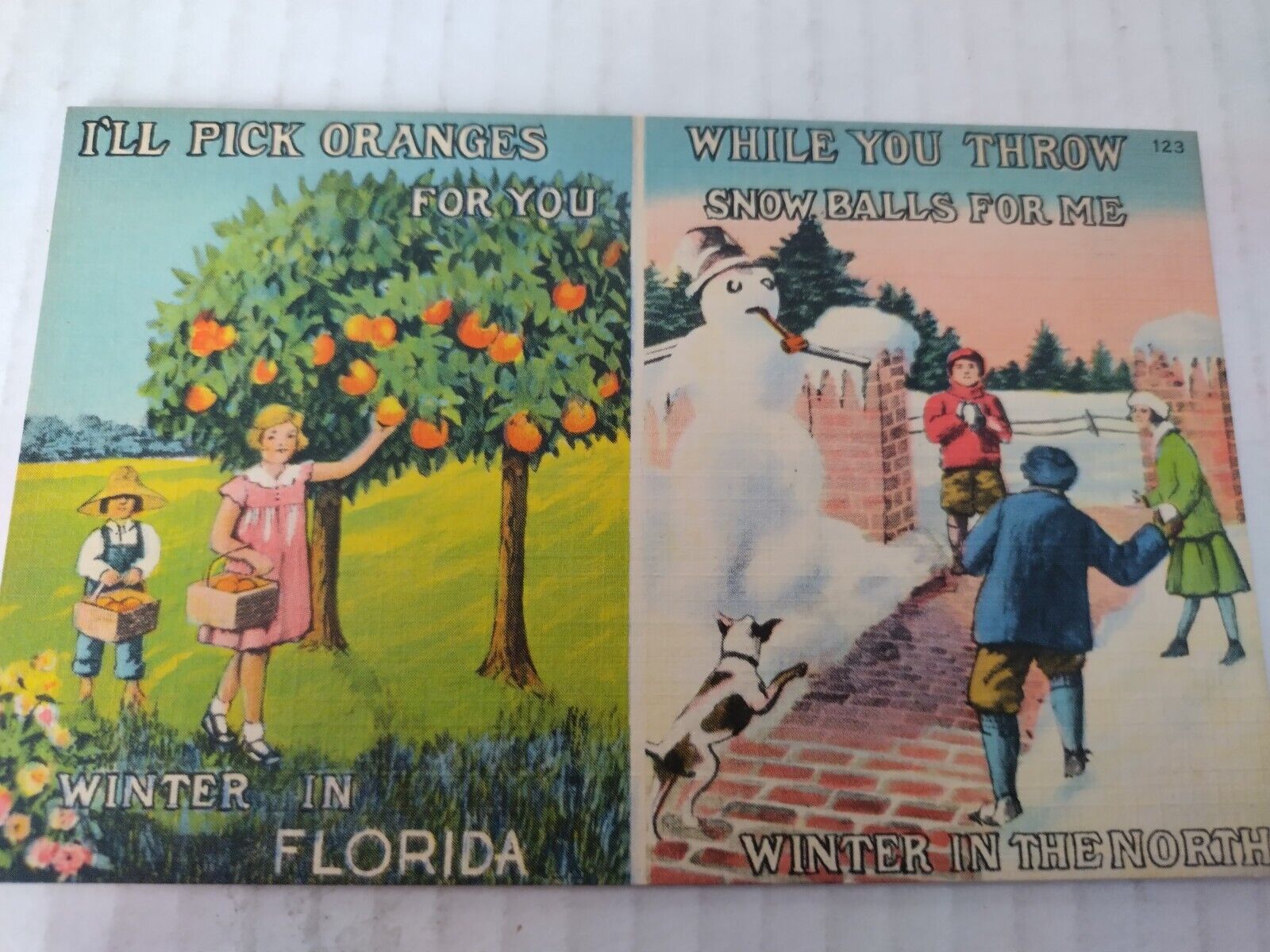 Vintage Postcard Linen Florida In Winter Vs Winter Up North Tichnor Brothers