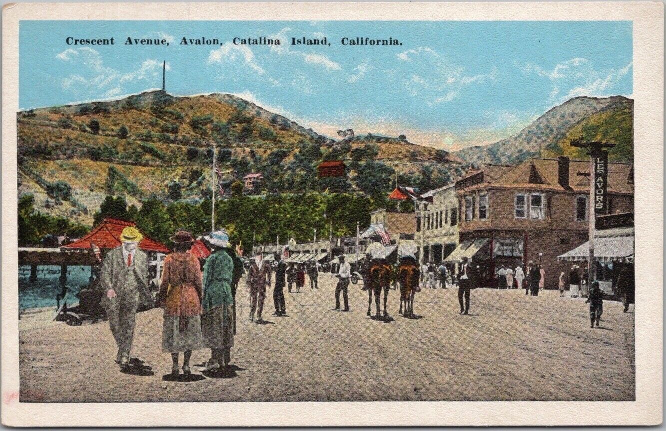 c1920s CATALINA ISLAND, California Postcard \