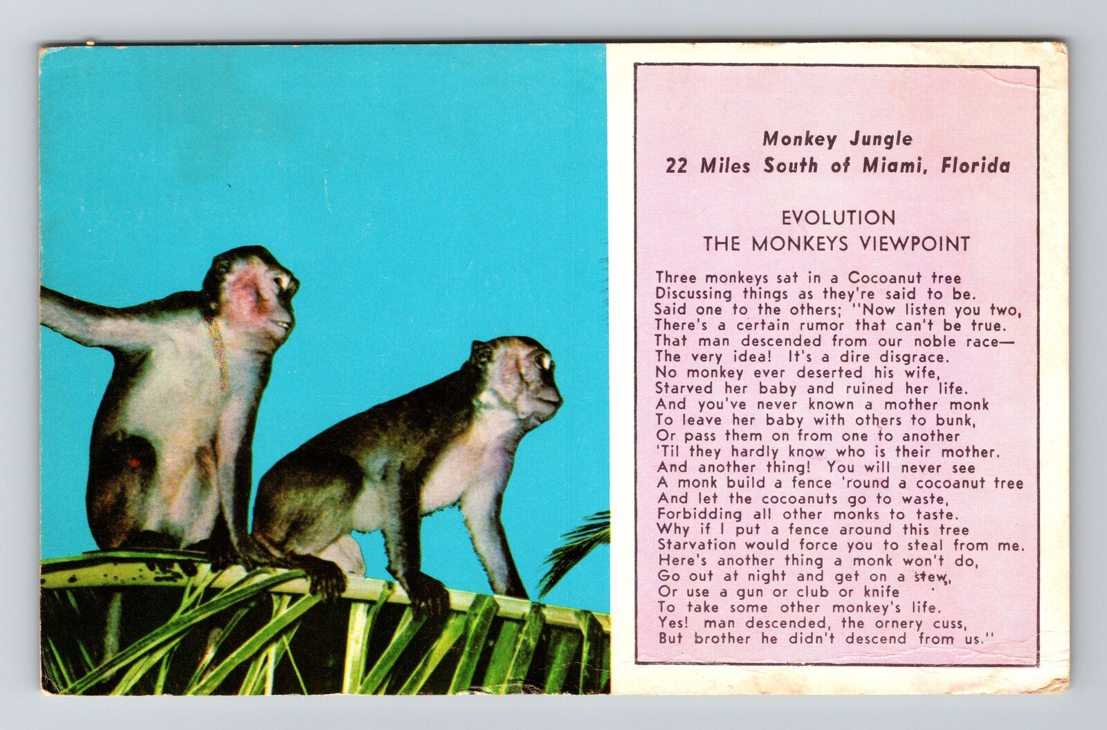 Miami FL-Florida, Monkey Jungle, c1972, Vintage Postcard